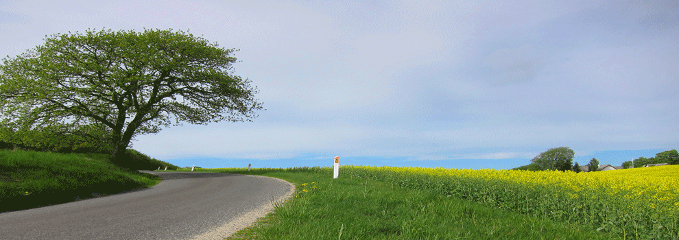 Do you know where you are?